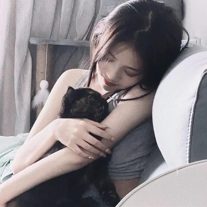 探险活宝第四季